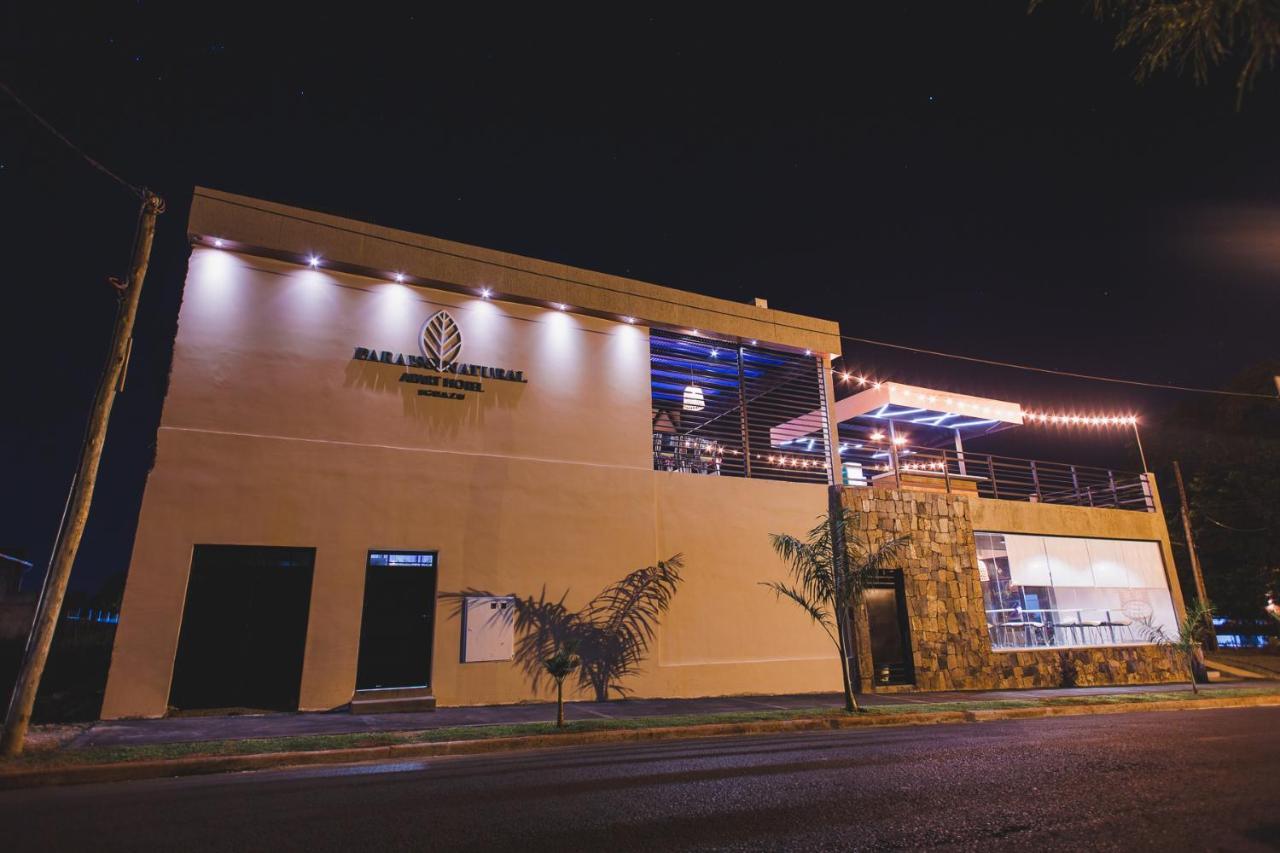 Paraiso Natural Apart & Hotel Iguazu プエルト・イグアス エクステリア 写真